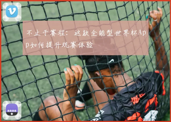 不止于赛程:这款全能型世界杯App如何提升观赛体验